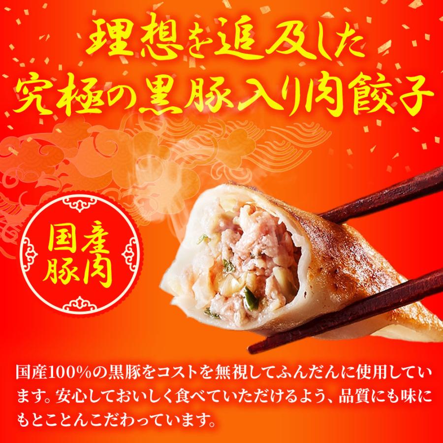 究極の餃子 100粒（50粒×2袋） 国産 黒豚入り 餃子 ぎょうざ ギョウザ ギョーザ 生餃子 冷凍餃子 ポイント利用 お試し商品 サンプル | おさかな問屋 魚奏 | 05