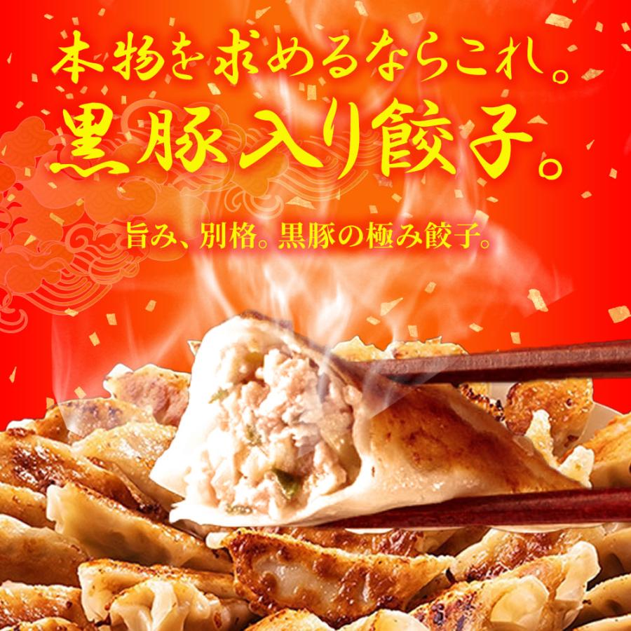 究極の餃子 50粒 国産 黒豚入り 餃子 ぎょうざ ギョウザ ギョーザ 生餃子 冷凍餃子 冷凍 歳末 お歳暮 年末グルメ 贈答 迎春 | おさかな問屋 魚奏 | 02