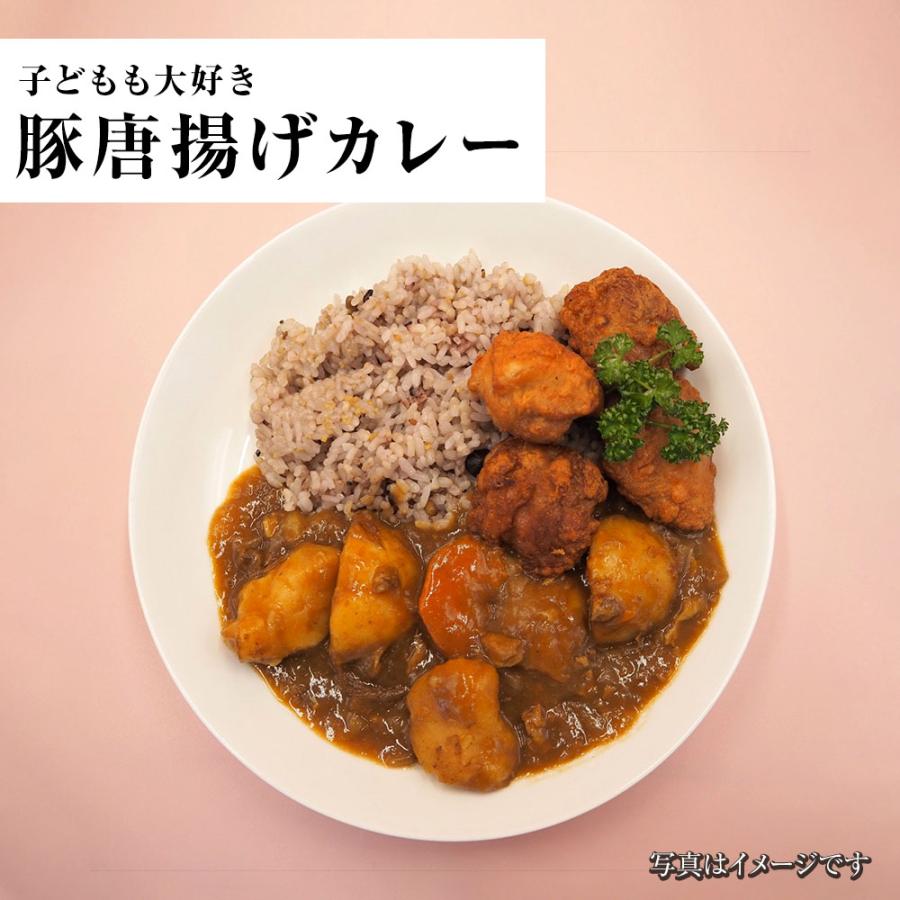豚ロース 唐揚げ 500g ぶた唐揚げ 豚カラ ぶた ブタ 豚 国内製造 豚肉 やわらか 歳末 お歳暮 年末グルメ 贈答 迎春 | おさかな問屋 魚奏 | 10