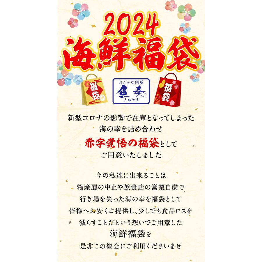 2024年 豪華海鮮福袋 当たり付き ウニ いくら ホタテなど 5〜7点 詰合せ 赤字 応援 在庫処分 訳あり 母の日 父の日 敬老 中元 ギフト | おさかな問屋 魚奏 | 01