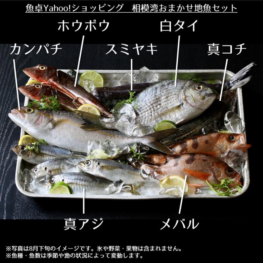 送料無料 鮮魚３０年のプロ厳選 相模湾おまかせ地魚セットお試し2 980円 税別 002 魚卓ショップ 通販 Yahoo ショッピング