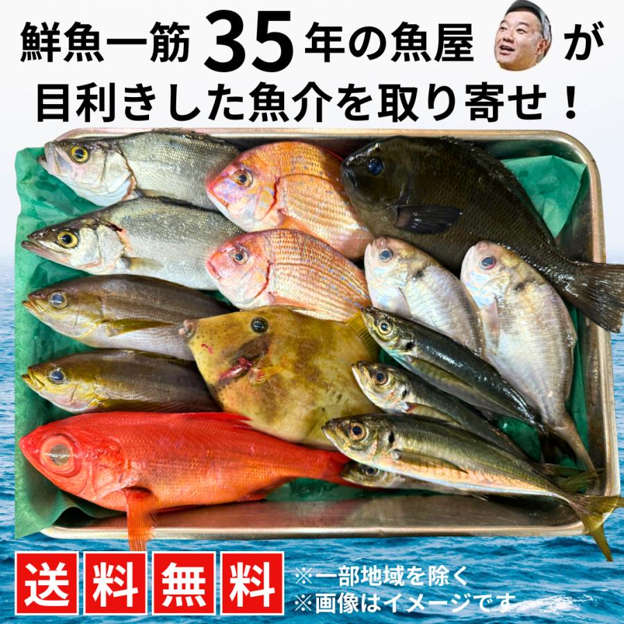 【送料無料】おまかせ魚介セット／鮮魚一筋35年の魚屋が目利きしています！ ※下処理（三枚おろし）対応も可能 | 