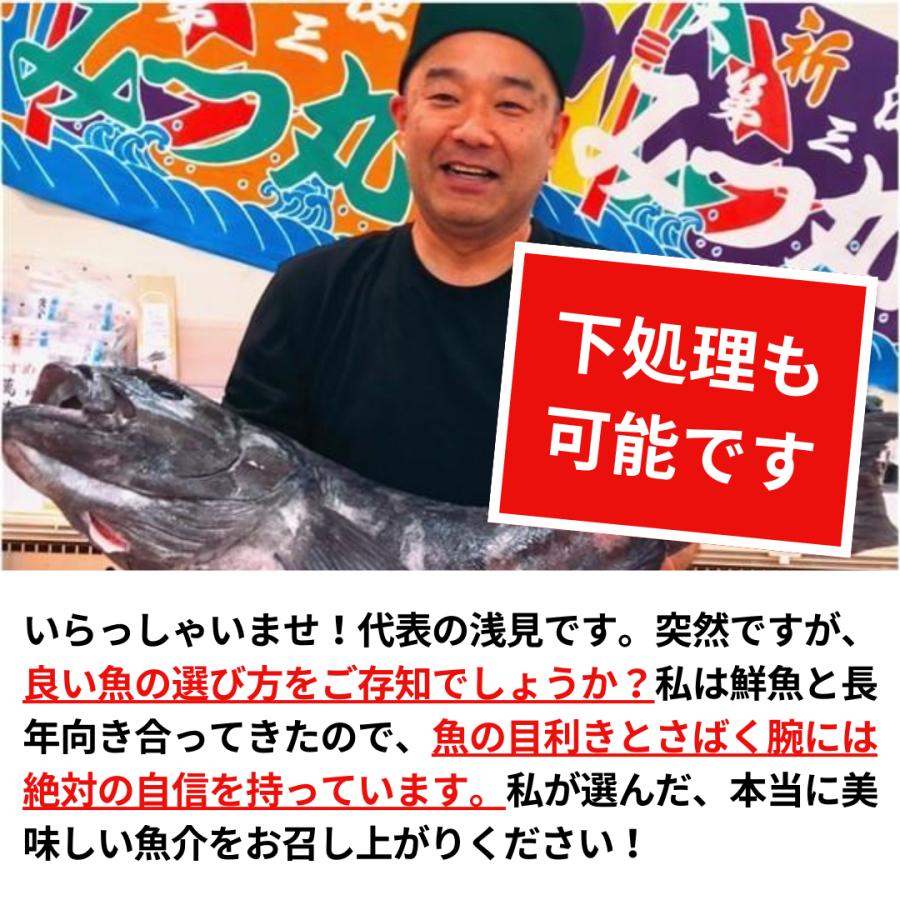 【送料無料】おまかせ魚介セット／鮮魚一筋35年の魚屋が目利きしています！ ※下処理（三枚おろし）対応も可能 |  | 01