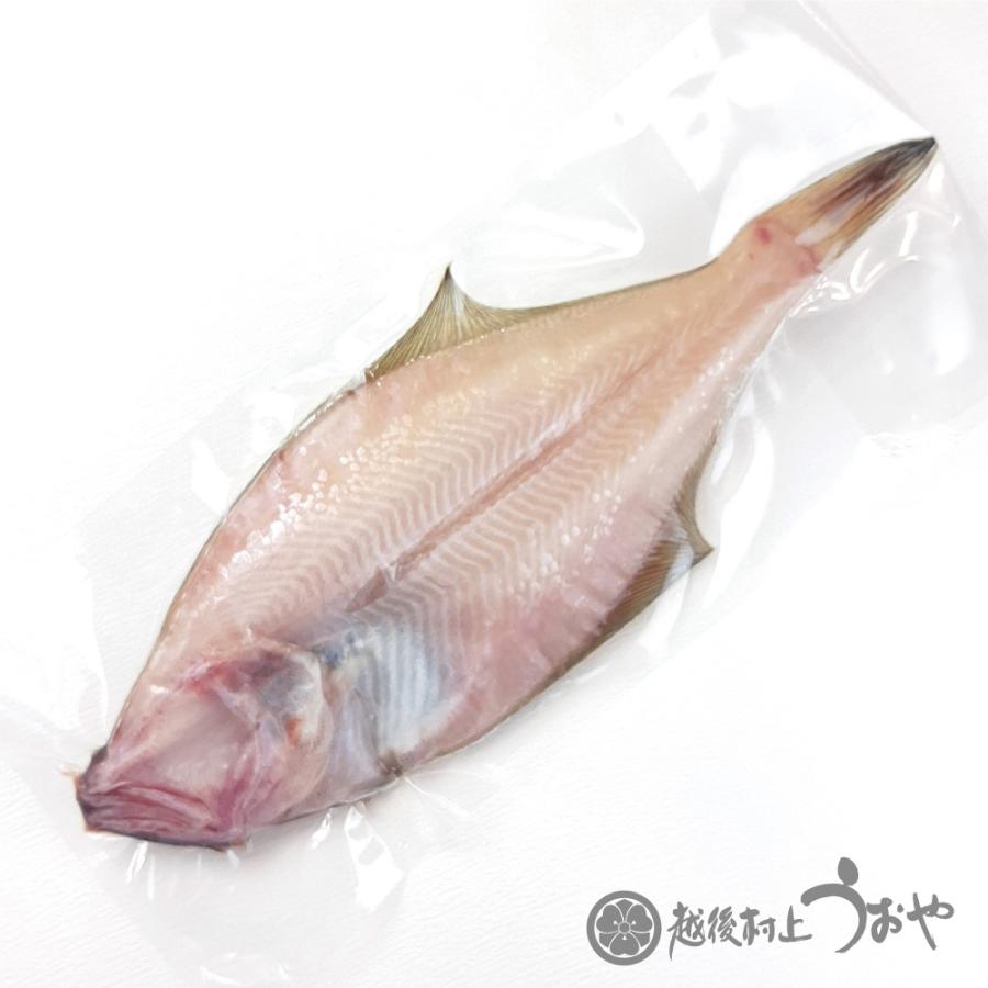 うおや特撰干物セットA　干物 一夜干し ひもの 詰合せ ギフト ご贈答 |  | 01