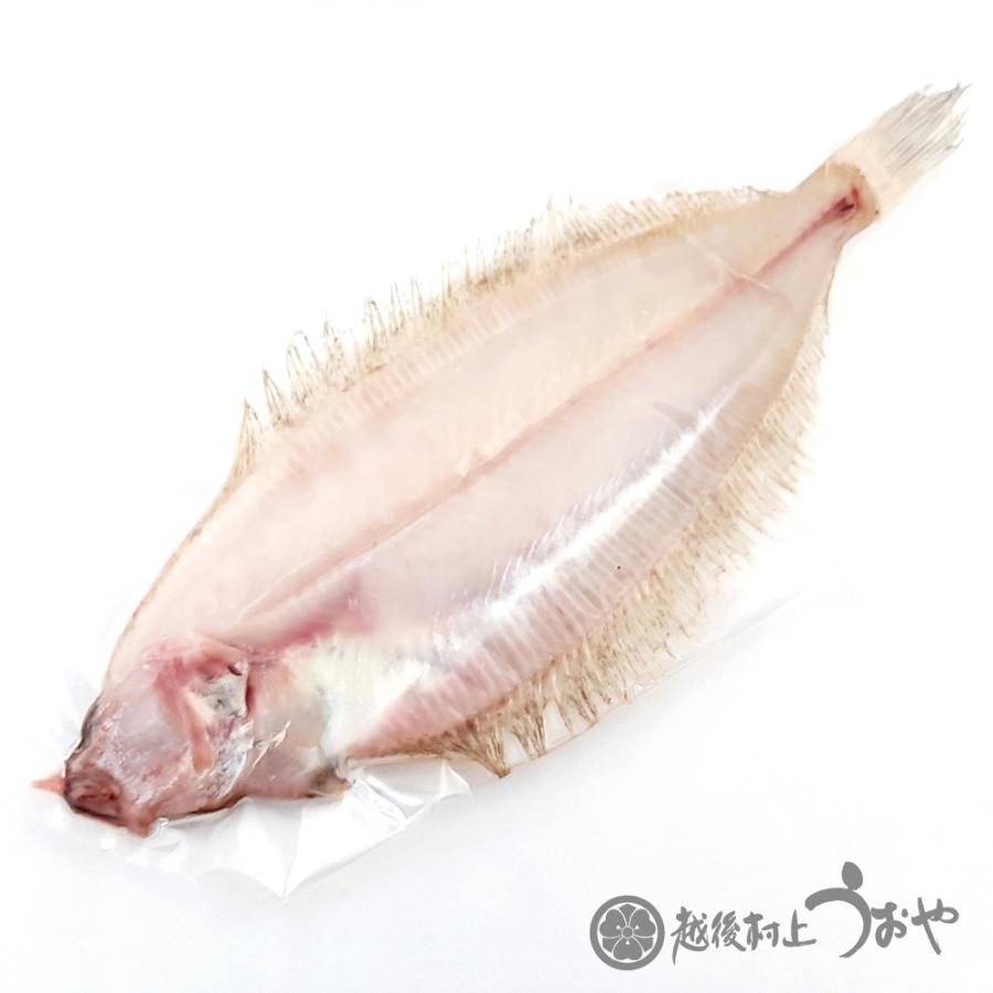 うおや特撰干物セットA　干物 一夜干し ひもの 詰合せ ギフト ご贈答 |  | 02