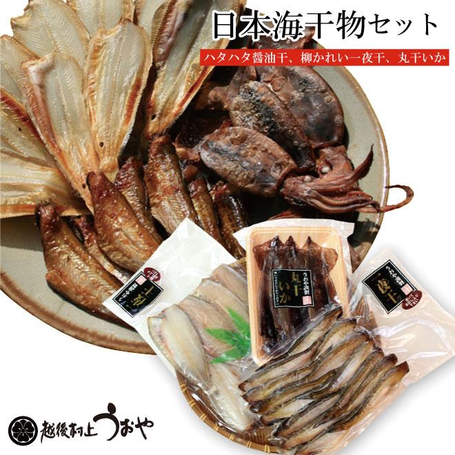 日本海 干物セット ３種 詰め合わせ 柳かれい一夜干 はたはた醤油干 丸干しいか Franphoto Ie