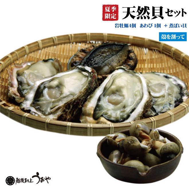 日本海産 天然貝 煮ばい貝付 Aセット 岩牡蠣 殻を割ってお届け あわび 煮ばい貝 F21 B007na 越後村上うおや 通販 Yahoo ショッピング