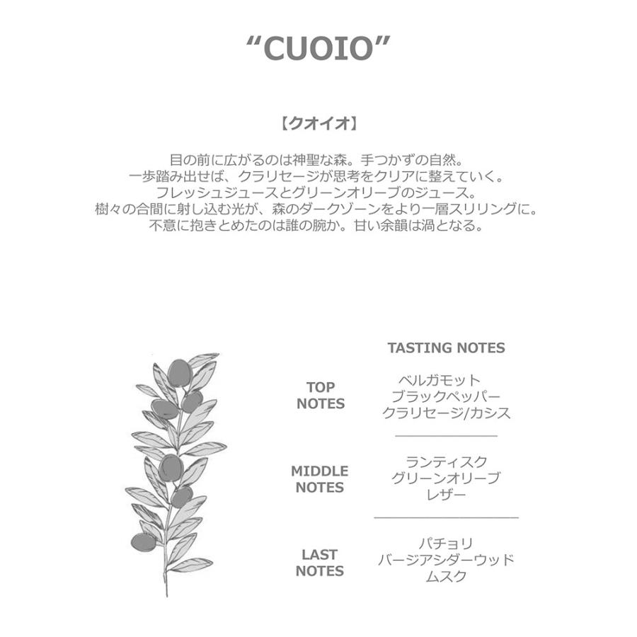 ESSENZA PULSANTE エッセンツァ プルサンテ メンズ フレグランス diffuser 250ml 国内正規品 |  | 02