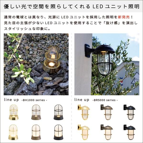 ゴーリキアイランド 【750823】 BH1000 AN CL LE-U_2