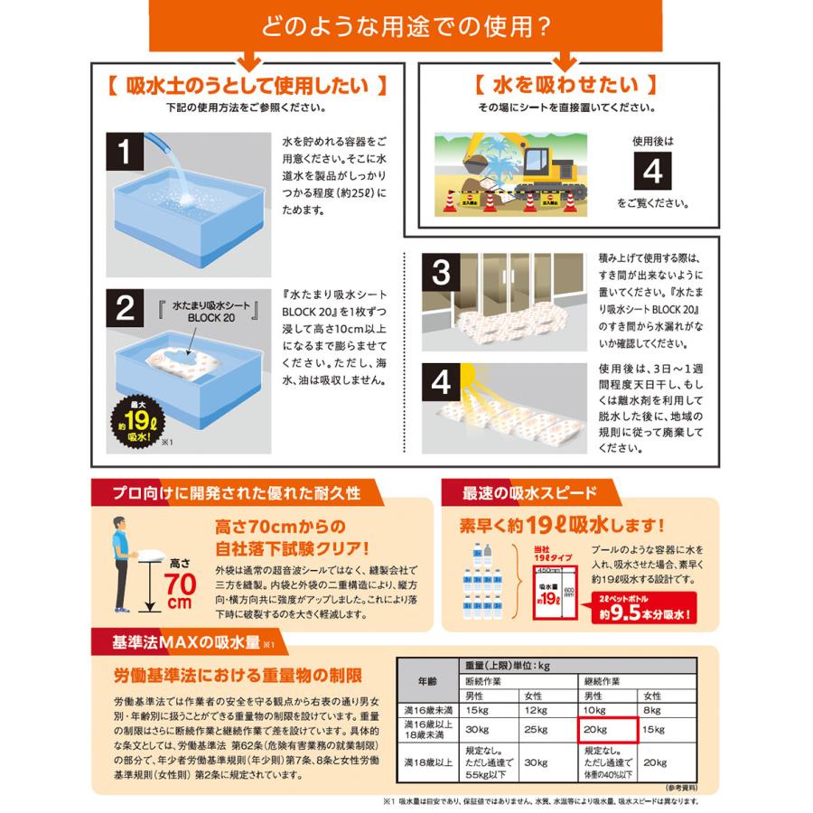 第一衛材 防災人 水たまり吸水シート BLOCK 20 10枚入 BMS-004 : 住宅