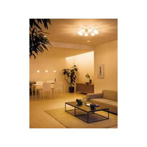 ODELIC オーデリック シャンデリア 【OC257138BR】【OC 257 138BR