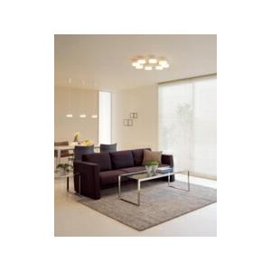 ODELIC（オーデリック） シャンデリア 【OC257171BR】【OC 257 171BR