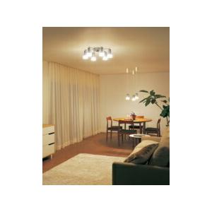 ODELIC（オーデリック） シャンデリア 【OC257173BR】【OC 257 173BR