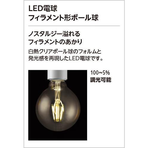 オーデリック エクステリアライト 【OG254872LC1】【OG 254 872LC1