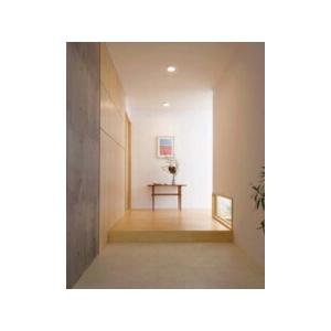 ODELIC OL 251 780R LEDシーリングライト ODELIC OL251751R 在庫品 オーデリック シーリングダウンライト