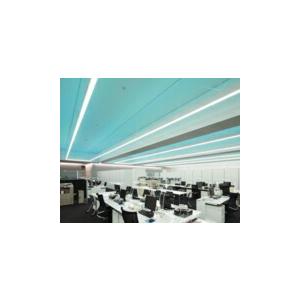 ODELIC（オーデリック） 間接照明 【OL291150RG】【OL 291 150RG