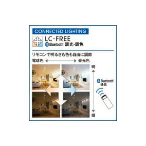 ODELIC - オーデリック 小型最高限度ともし火 【OL291334BR】【OL 291 334BR】