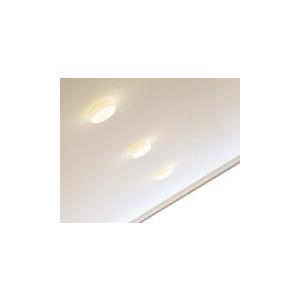 ODELIC（オーデリック） シーリングライト 【OL291336R】【OL 291 336R