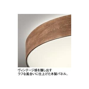 ODELIC（オーデリック） シーリングライト 【OL291355BRE】【OL 291