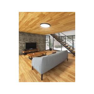 ODELIC（オーデリック） シーリングライト 【OL291564BR】【OL 291