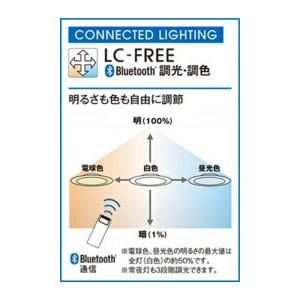 ODELIC（オーデリック） シーリングライト 【OL291579BR】【OL 291