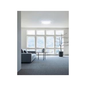 ODELIC（オーデリック） シーリングライト 【OL291580R】【OL 291 580R