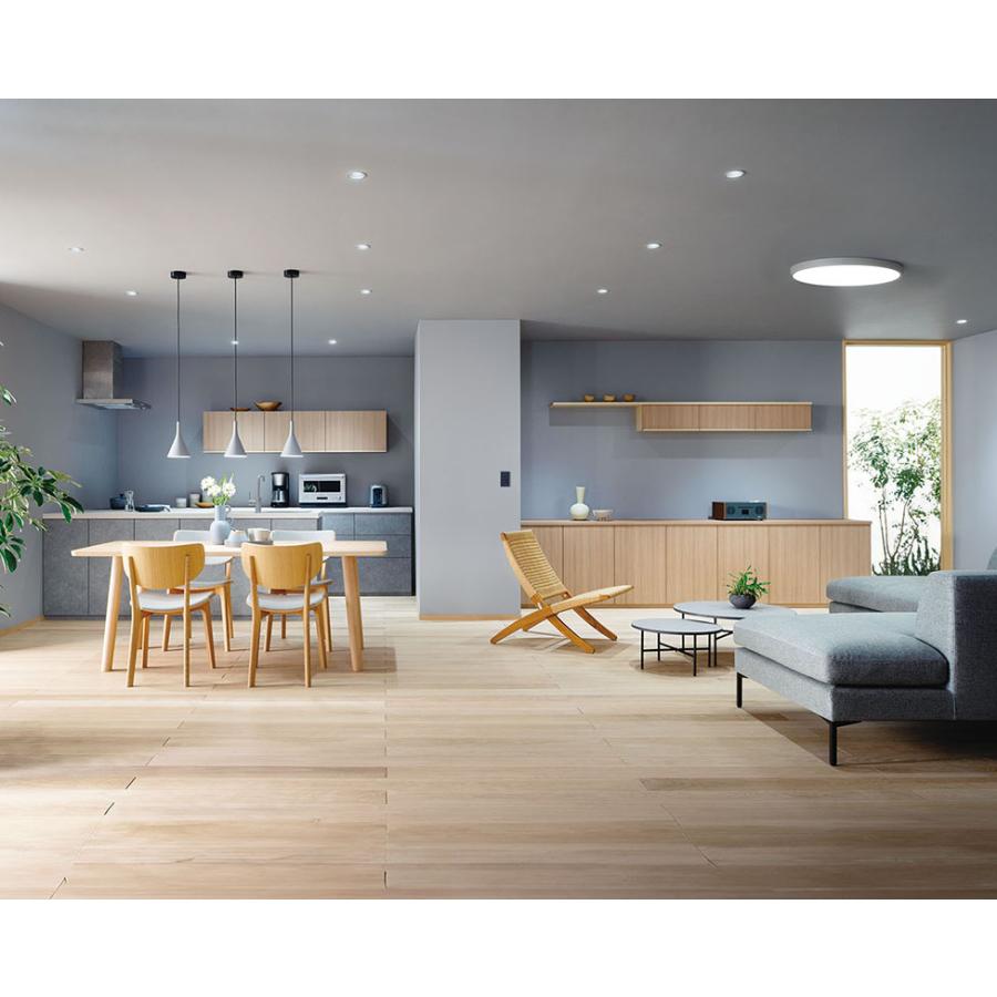 オーデリック シーリングライト 【OL291686BR】【OL 291 686BR