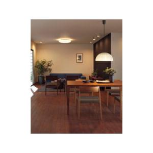 ODELIC（オーデリック） ペンダントライト 【OP252104LR】【OP 252