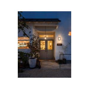 ODELIC（オーデリック） ペンダント 【OP252413LR】【OP 252 413LR