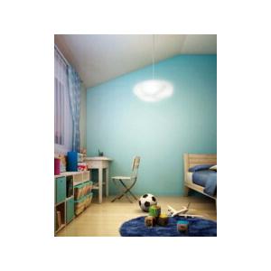 ODELIC（オーデリック） ペンダントライト 【OP252430R】【OP 252 430R