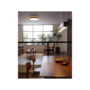 ODELIC（オーデリック） ペンダントライト 【OP252531R】【OP 252 531R