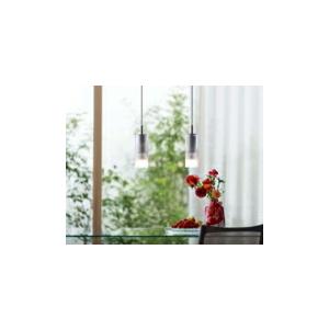 オーデリック　ペンダントライト OP 252 547BR ODELIC（オーデリック） ペンダントライト 【OP252547BR】【OP 252