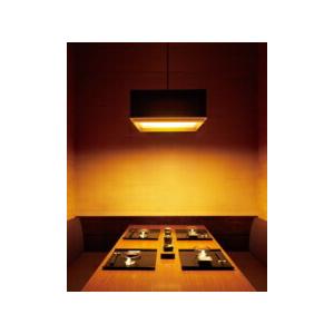 ODELIC（オーデリック） ペンダントライト 【OP252586R】【OP 252 586R