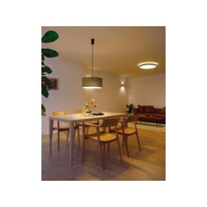 ODELIC（オーデリック） ペンダントライト 【OP252604BR】【OP 252