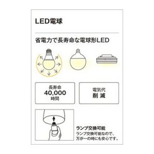 ODELIC（オーデリック） ペンダント 【OP252665BR】【OP 252 665BR