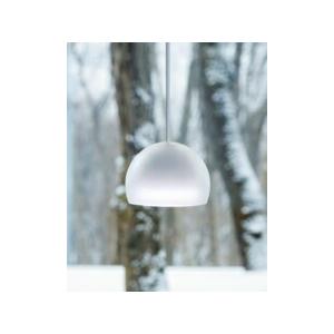 ODELIC（オーデリック） ペンダント 【OP252788LR】【OP 252 788LR