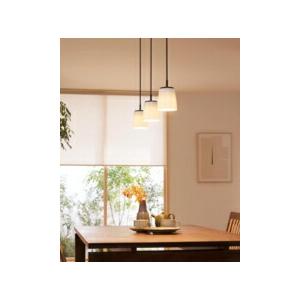 オーデリック照明器具 ペンダント LED OP252805R　2個 ODELIC（オーデリック） ペンダントライト 【OP252805R】【OP 252 805R