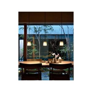 オーデリック照明器具 ペンダント LED OP252805R　2個 ODELIC オーデリック ダクトレール用ペンダント OP252805R 電球