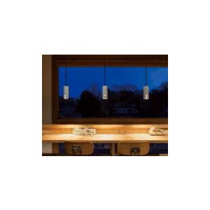 ODELIC（オーデリック） ペンダントライト 【OP252875LR】【OP 252