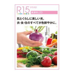 オーデリック ペンダント 【OP252926LR】【OP 252 926LR】