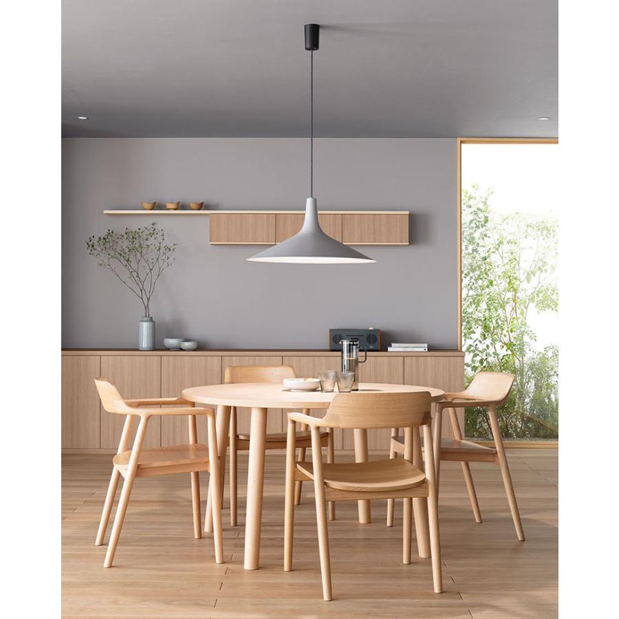 オーデリック ペンダントライト 【OP273054BR】【OP 273 054BR