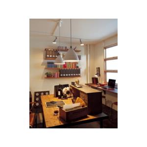 ODELIC（オーデリック） スポットライト 【OS256019LR】【OS 256 019LR