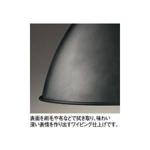 ODELIC（オーデリック） スポットライト 【OS256020LR】【OS 256 020LR