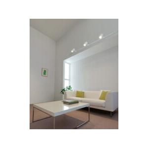 ODELIC（オーデリック） スポットライト 【OS256435R】【OS 256 435R