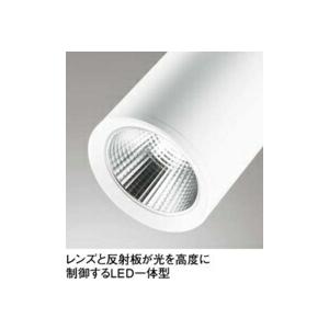 ODELIC（オーデリック） スポットライト 【OS256514R】【OS 256 514R