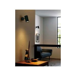 ODELIC（オーデリック） スポットライト 【OS256516R】【OS 256 516R