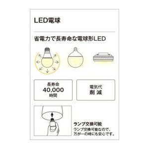 ODELIC オーデリック スポットライト 【OS256557NR】【OS 256 ODELIC オーデリック スポットライト 【OS256557NR】【OS 256