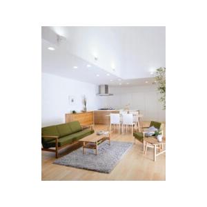 ODELIC（オーデリック） スポットライト 【OS256573RG】【OS 256 573RG