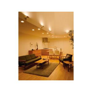 ODELIC（オーデリック） スポットライト 【OS256573RG】【OS 256 573RG