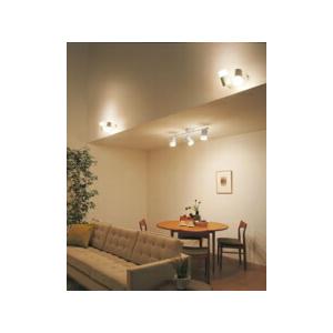 ODELIC（オーデリック） スポットライト 【OS256673RG】【OS 256 673RG